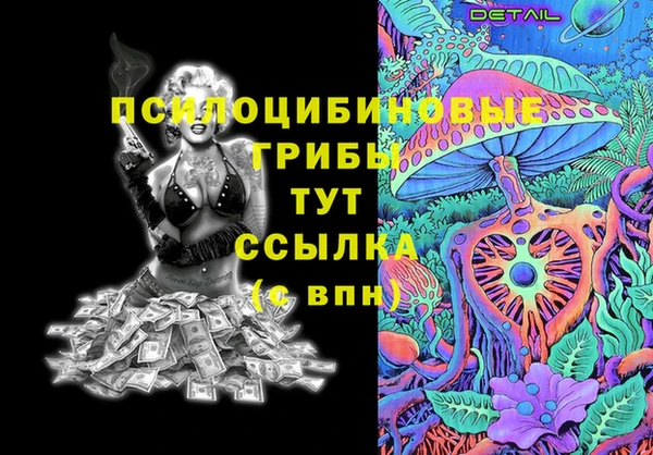 индика Ростов