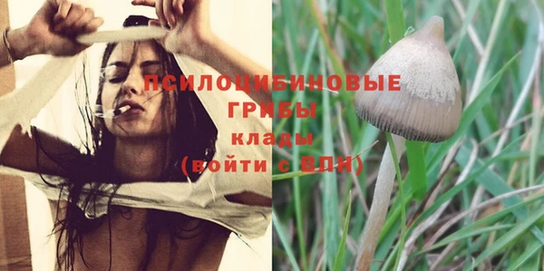 бошки Вяземский
