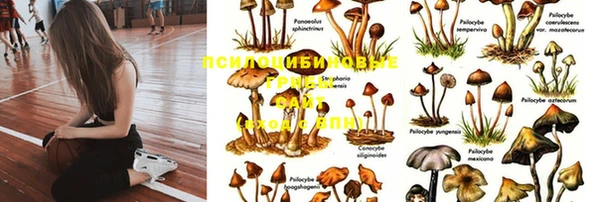 мяу мяу мука Вязники
