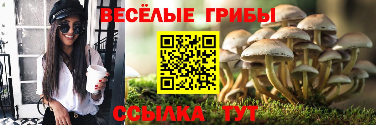 Псилоцибиновые грибы прущие грибы Елец