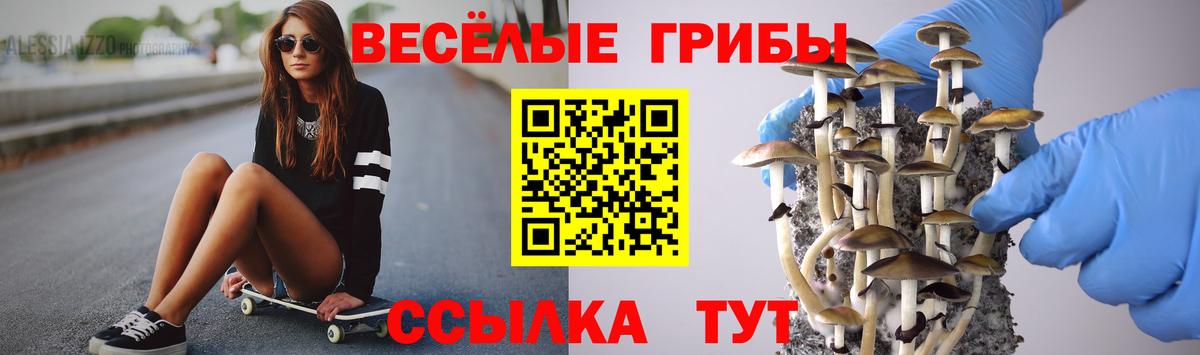 Галлюциногенные грибы прущие грибы  Вход с VPN  Елец 